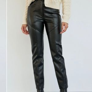 Aritzia Rebel Vegan Leather Pant